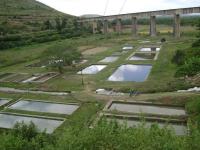 Sulekere - Davangere