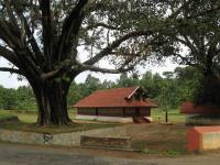Valliyoorkavu Bhagavathy Temple - Wayanad