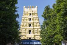 Bhramaramba Devi Temple - Srisailam