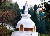 Japanese Peace Pagoda - Darjeeling