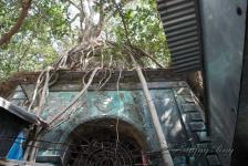 Shiv Mandir - Navadvipa