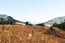 Buning Meadows - Tamenglong