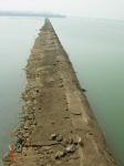 Stone Revetment - Cuttack