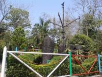 Botanical Gardens - Diphu