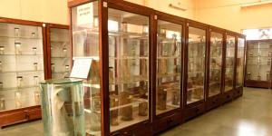 Ratnagiri Marine Museum - Ratnagiri