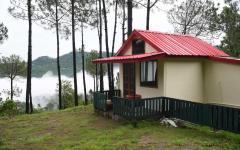 Pine Valley Resort - Kasauli