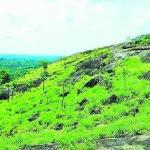 Vellanikkal Paramukal Temple - Thiruvananthapuram