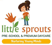 Little Sprouts Daycare And Playschool - Airport Road - Pune