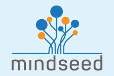 Mindseed - Magarpatta - Pune