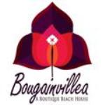 Bougainvillea - Alibaug