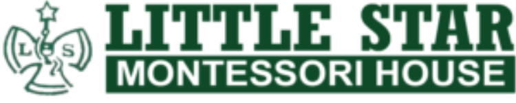 Little Star - Salt Lake Sector II - Kolkata