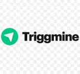 Triggmine