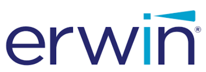 erwin Business Process