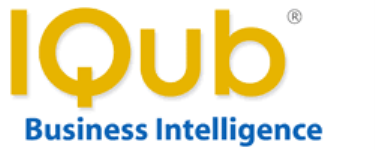 IQub Business Intelligence Reporting Solutions