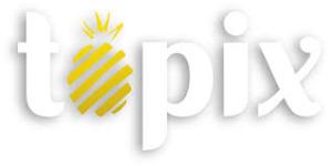 TOPIX