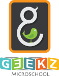 Geekz Microschool - Velachery - Chennai