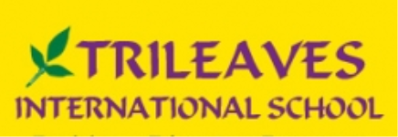 Trileaves International School - T. Nagar - Chennai