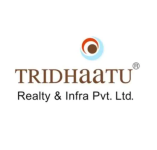 Tridhaatu Realty & Infra - Mumbai Image