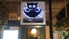 Cat Cafe Studio - Andheri West - Mumbai