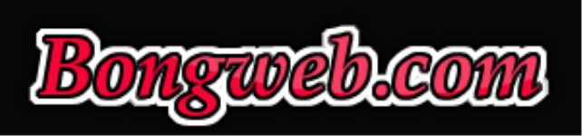 Bongweb