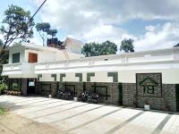 Tree Blanche - Munnar