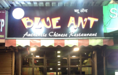 Blue Ant - Airoli - Navi Mumbai