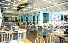 The Lazy Goose - Candolim - Goa