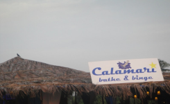 Calamari Bathe & Binge - Candolim - Goa
