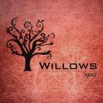 Willows Spa - Valasaravakkam - Chennai