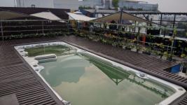 Golden Tulip - Salt Lake - Kolkata