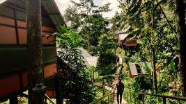 Himmelberg Nature Retreat - Munnar