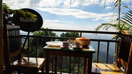 Winter Gardens - Munnar