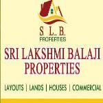 Slb Properties - Nellore Image