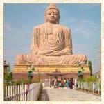 Buddhist Tour & Travels - Delhi