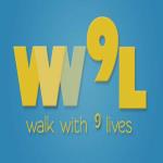 Walk with 9 Lives Tours - Shillong