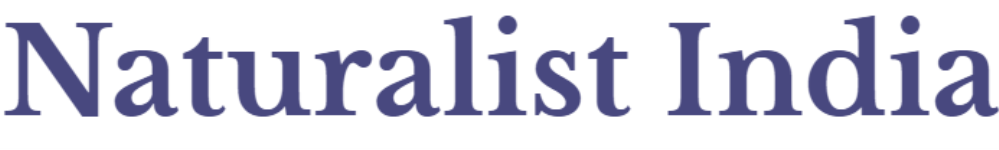 Naturalist India Tours & Travels - Alwar