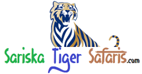 Sariska Tiger Safaris Tours - Alwar