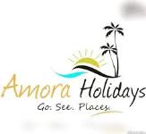 Amora Holidays - Nagpur
