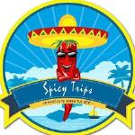 SpicyTrips Tours & Travels - Guntur