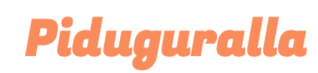 Piduguralla Travels - Guntur