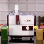 Ezyhome Juicer Mixer Grinders