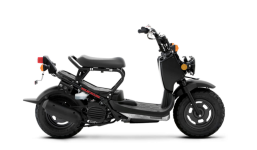 Honda Ruckus