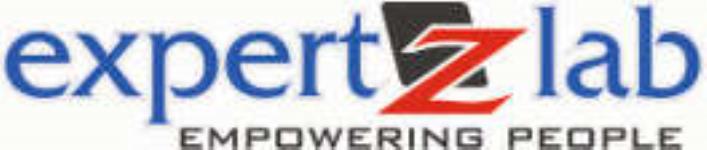 Expertzlab