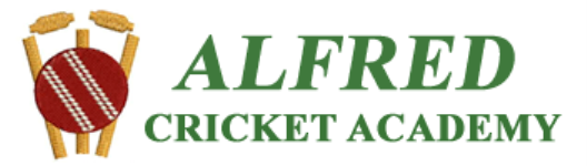 Alfred Cricket Academy - Chelliamman Koil Street - Chennai