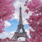 PureSoul Tourism - Panchkula