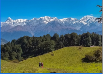 Suryam Holidays - Dehradun