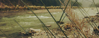 Krishna Holidays - Rishikesh