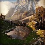 Oha Travel - Dharamshala