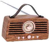 Artis BT45 14 W Bluetooth Speaker