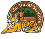 i4u Travel Services - Jabalpur